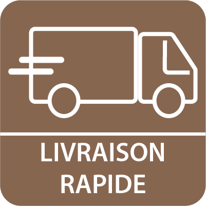 Icone de livraison rapide